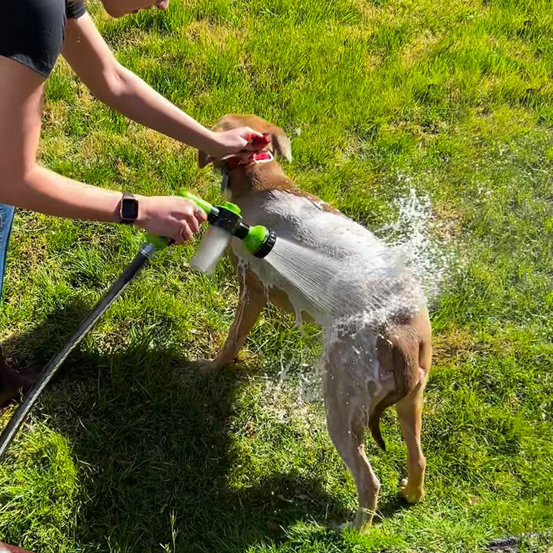 PETSHOW ⧽ Animal showerhead