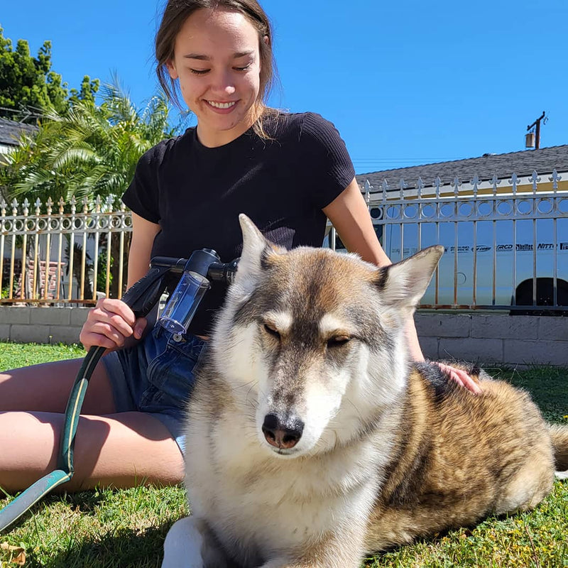 PETSHOW ⧽ Animal showerhead